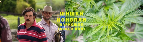 прущий лед Алзамай