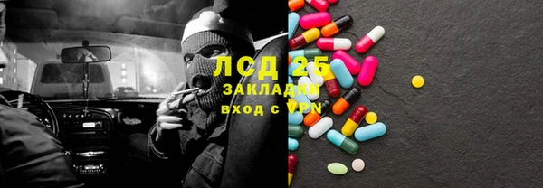 стаф Алексин