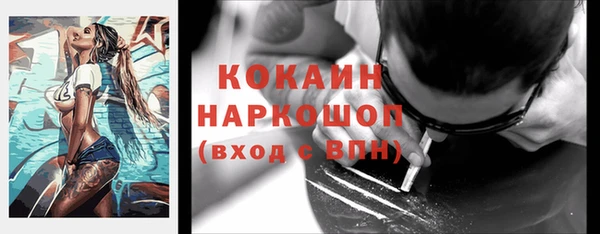 прущий лед Алзамай