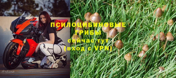 твердый Алексеевка