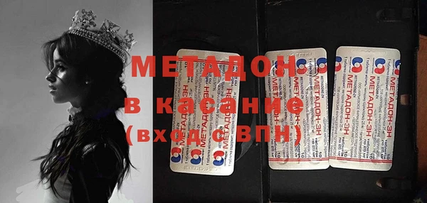 стаф Алексин