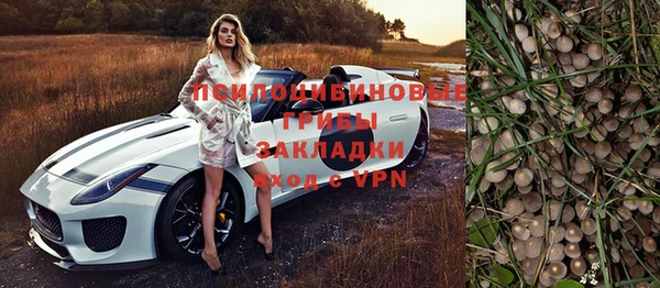 стаф Алексин